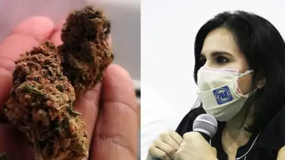 Mayuli Martínez declaró que por la falta de acuerdos el uso de la cannabis se prolongará Mayuli Martínez declaró que por la falta de acuerdos el uso de la cannabis se prolongará