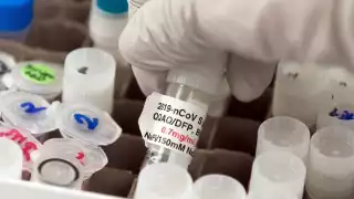 Estos son los científicos que desarrollan Patria, la vacuna anticovid mexicana