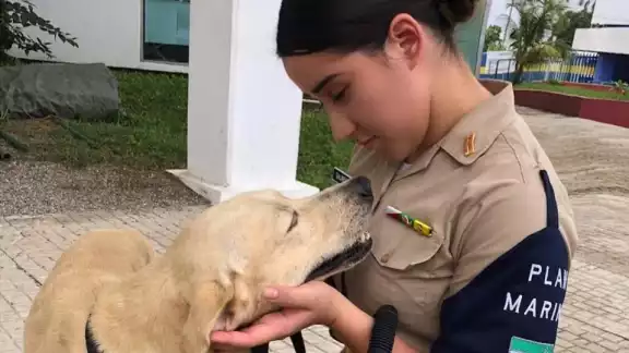 El perrito fue rescatado el pasado sábado durante las inundaciones en Tabasco Foto: Semar El perrito fue rescatado el pasado sábado durante las inundaciones en Tabasco Foto: Semar