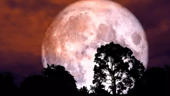 La noche de este jueves 24 de junio y hasta la mañana del día viernes será visible la Luna de fresa