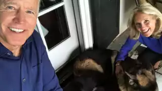 Major es el primer perro en cumplir el sueño americano al llegar a la Casa Blanca