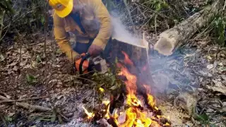 El incendio inició el pasado 22 de abril y hasta el momento se han consumido más de dos mil hectáreas