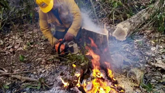 El incendio inició el pasado 22 de abril y hasta el momento se han consumido más de dos mil hectáreas
