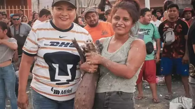 La diputada participó en el evento donde se maltrataron aimales.