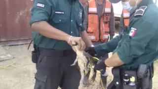 FOTOS: Julio Jiménez Mendoza