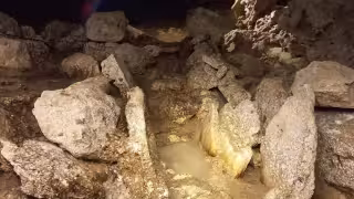 Descubren cueva de gran tamaño sobre la Carretera Federal 307 de Quintana Roo