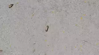 La inseguridad en esta zona ha aumentado en los últimos días. Foto:   Gerardo Can Dzib