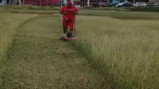 Jugadores dan mantenimiento a campos de softbol en Chetumal