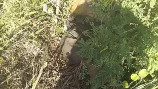 Foto: Abraham Cohuó