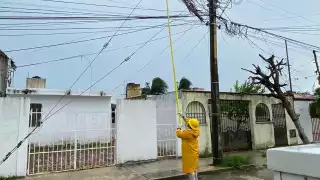 El servicio de energía eléctrica se restablece paulatinamente en las zonas afectadas por el Huracán Grace en Quintana Roo