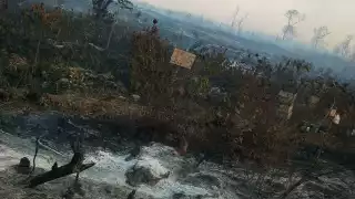Los incendios cerca de Calakmul habían perjudicado varias hectáreas de terreno