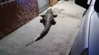 FOTOS: Julio Jiménez Mendoza