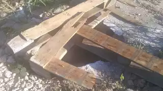 Perro cae dentro de un pozo y muere ahogado en Motul