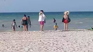 El agua de Sisal se encuentra limpia de marea roja actualmente