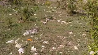 FOTO: Secretaría de Cultura