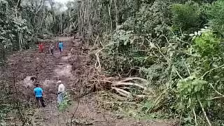 Es en estos trabajos que se hizo el descubrimiento
