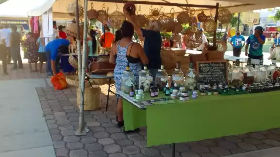 Participan productores de sembrando vida, apicultores, artesanos, entre otros Participan productores de sembrando vida, apicultores, artesanos, entre otros