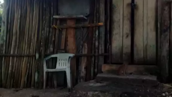 La vivienda hecha de palos y paja fue atacada por delincuentes, y el abuelito tuvo que disparar su escopeta para ahuyentarlos