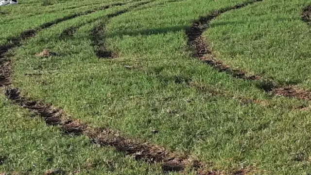 El profesor Jesús Colli señaló que durante la noche se comentó que algunos vecinos observaron luces durante la noche madrugada