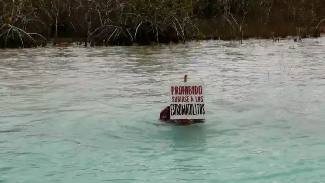 FOTOS: Moisés Omar Soto Suárez