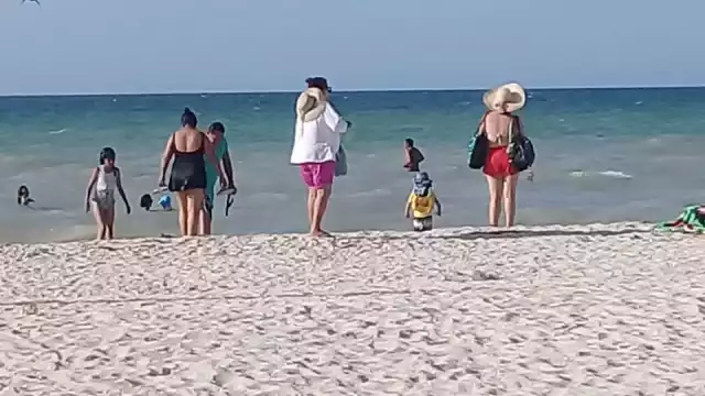 El agua de Sisal se encuentra limpia de marea roja actualmente