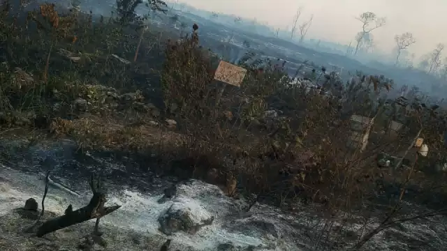 Los incendios cerca de Calakmul habían perjudicado varias hectáreas de terreno