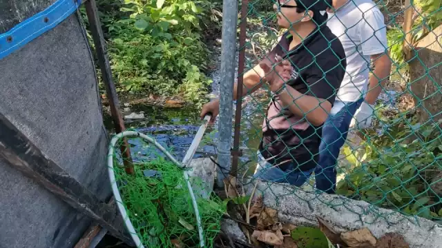 Sacaron basura de las aguas de este cenote en la región 68