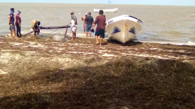 FOTO: Alejandro Colli