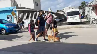 Exigen investigar casos de envenenamiento a mascotas en Holbox