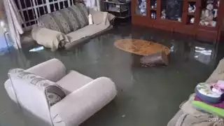 Ciclón tropical ‘Claudette’ ocasiona inundaciones en el puerto de Progreso