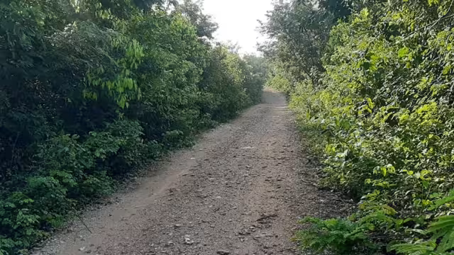 Autoridades no han cumplido con sus promesas de pavimentarla