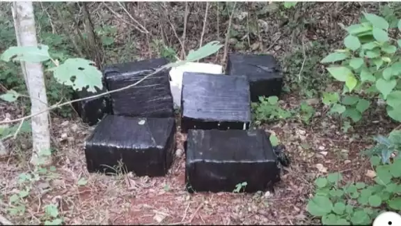 Aseguran más droga relacionada a la avioneta aterrizada en Quintana Roo Aseguran más droga relacionada a la avioneta aterrizada en Quintana Roo