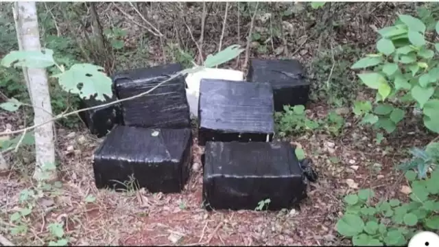 Aseguran más droga relacionada a la avioneta aterrizada en Quintana Roo