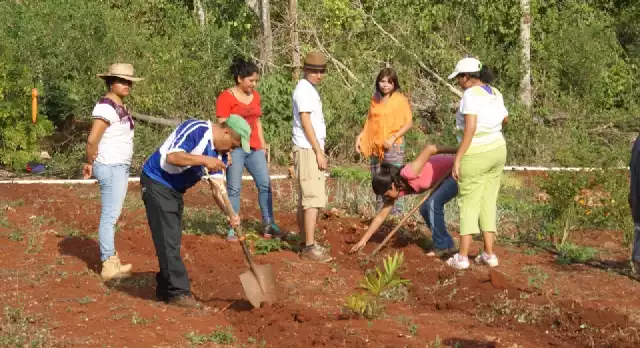 Observación climática de enero sigue guiando las siembras en plena era de meteorología moderna