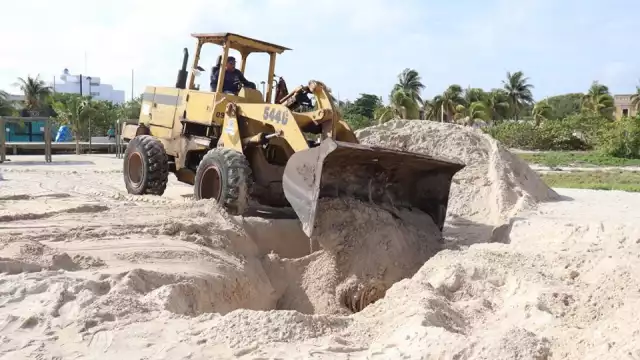 Los restos del tiburón ballena fueron enterrados cerca del malecón de Progreso