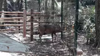 Foto:  Abraham Cohuó