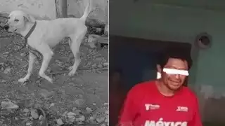 Habitantes exigen justicia por de un asesinato del perro en Yucatán