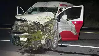 El semoviente intentó cruzar la carretera