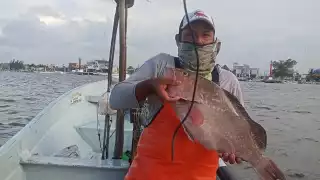 En esta parte del estado existe una valiosa diversidad de peces de alto valor ecológico y económico