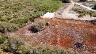 Semarnat y Profepa trabajan para cuantificar los daños en la Reserva Cuxtal de Mérida