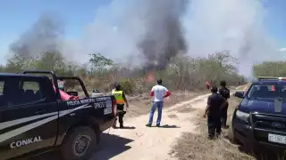 Incendio en el monte de Tekit arrasa con nueve hectáreas de maleza seca