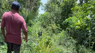 Residuos porcinos han contaminado el agua que se usa para el riego