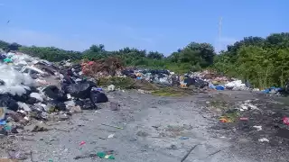 Falta de pepenadores y reciclables agrava problema de basura en Isla Aguada