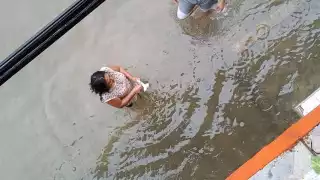 Foto: Carlos Coronado