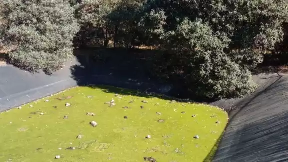 Al parecer, los animales llegaban a este sitio para beber agua pero caían dentro de la laguna tóxica, quedando atrapados Al parecer, los animales llegaban a este sitio para beber agua pero caían dentro de la laguna tóxica, quedando atrapados
