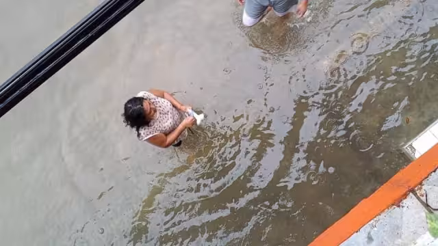 Foto: Carlos Coronado