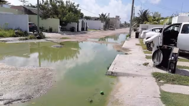 El olor del agua que está en las calles del conjunto habitacional en Mahahual es insoportable para los vecinos