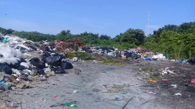 Falta de pepenadores y reciclables agrava problema de basura en Isla Aguada