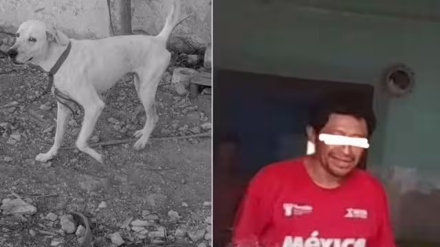 Habitantes exigen justicia por de un asesinato del perro en Yucatán