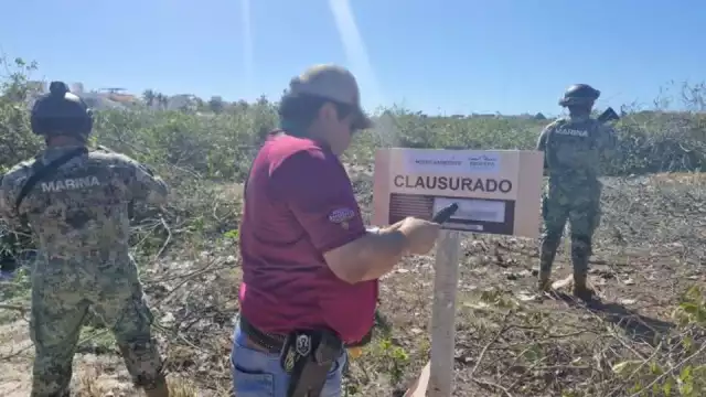 Vinculan a proceso a dos individuos que, además de destruir el manglar, violaron sellos federales